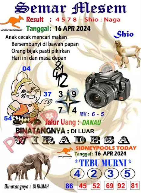 SYAIR SDY VIP